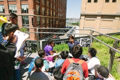 NATIVE NEW YORK – NATIVE ECOLOGY ON THE HIGH LINE